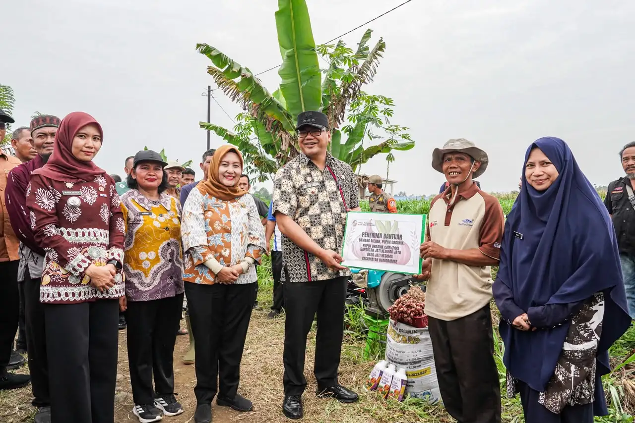 Bawang Merah Namorambe Ditargetkan Panen hingga 13 Ton